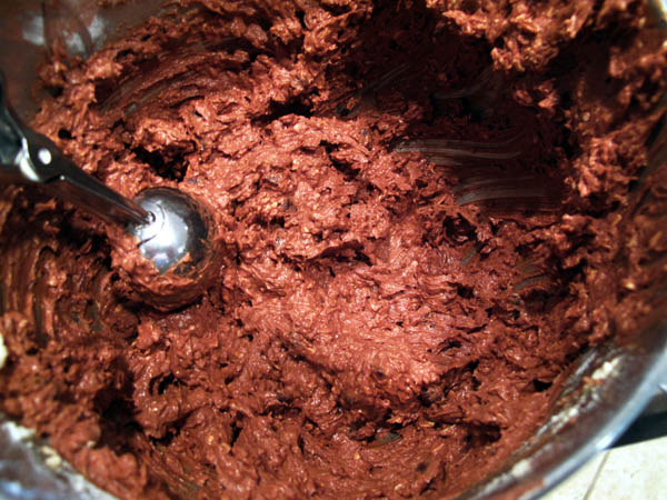 Chocolate Oatmeal dough