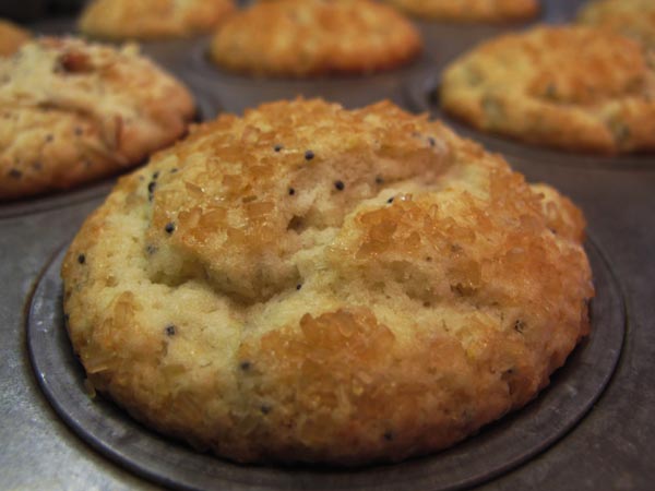 Poppy seed muffin sugar