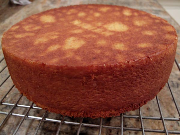 Orange almond cake baked