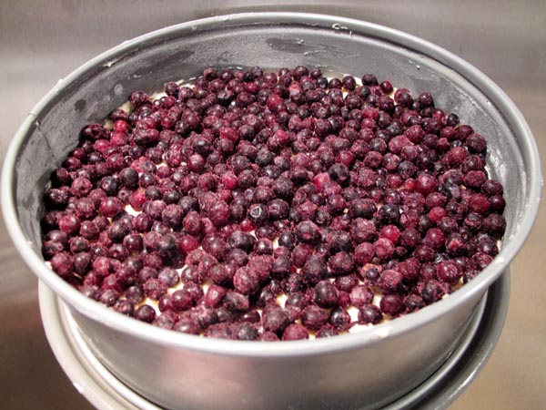 Blueberry buckle berries