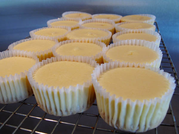 Mini Cheesecakes cooling