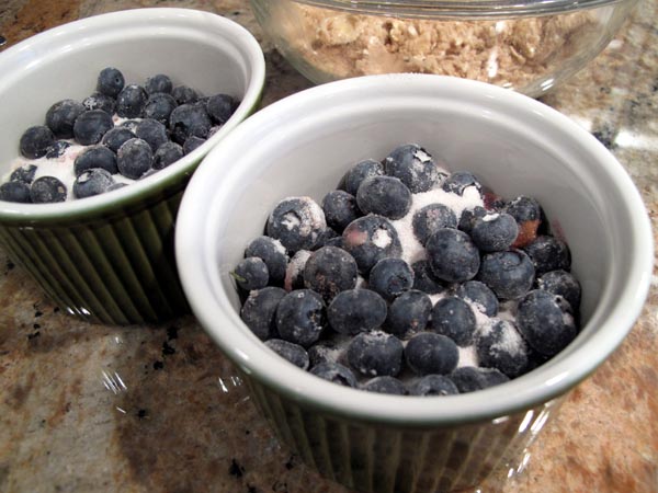 Blueberry Crisp Berries