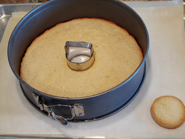 Shortbread in springform