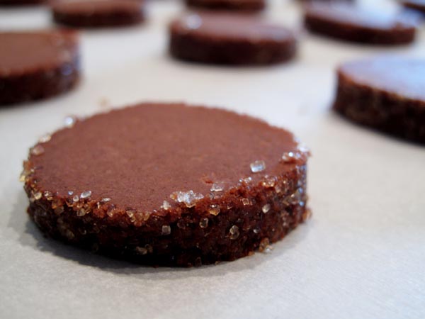 Dark Chocolate Butter Cookies unbaked sheet