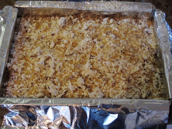 Apricot squares pan