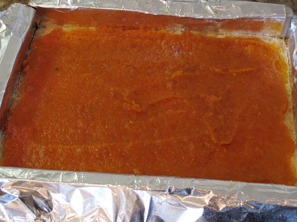 Apricot squares filling
