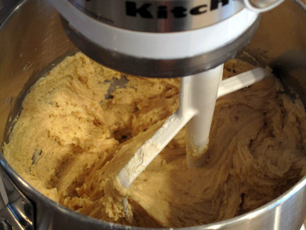 Buttermilk doughnut dough mixer
