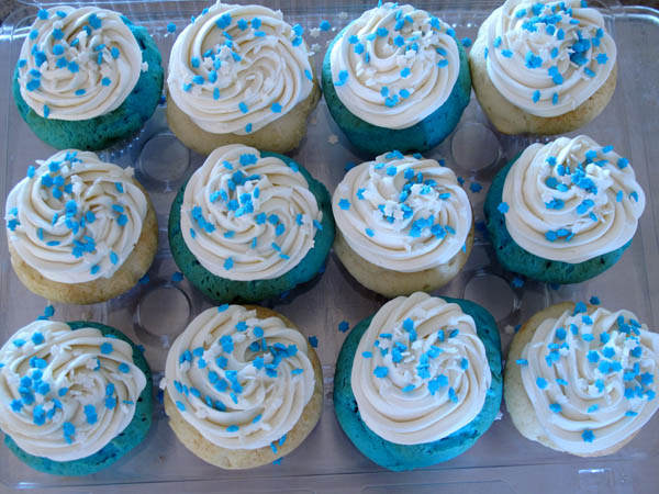 Blue White Velvet Hanukkah Cupcakes dozen