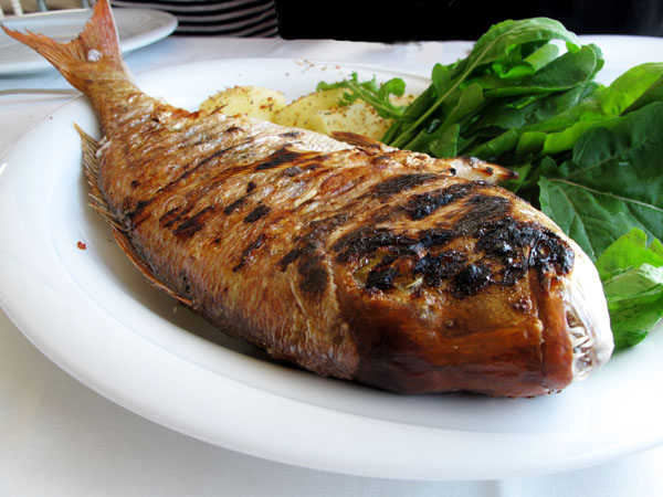 Whole red snapper grilled