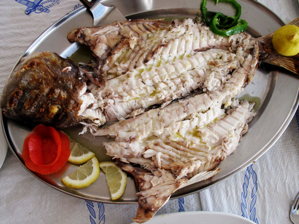 Snapper cut1