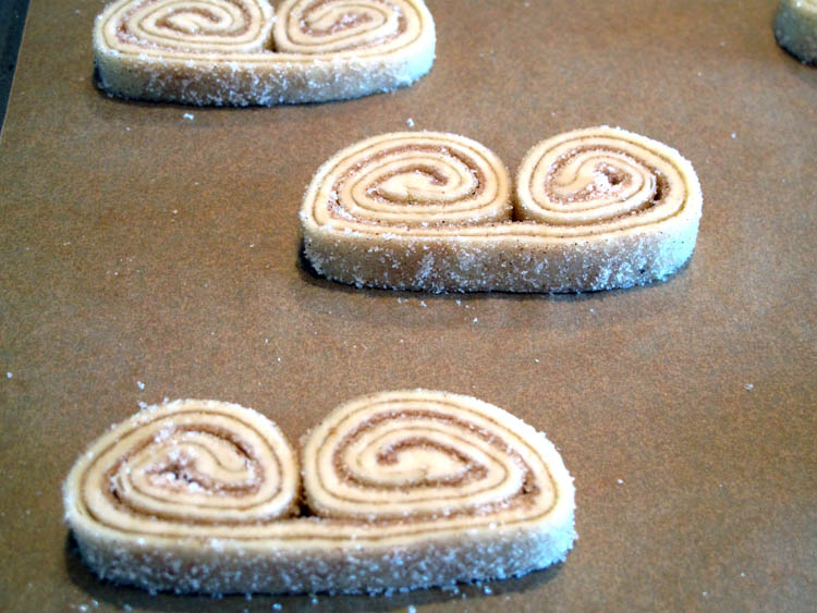 Palmiers 3