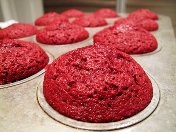 Red velvet cupcakes baked