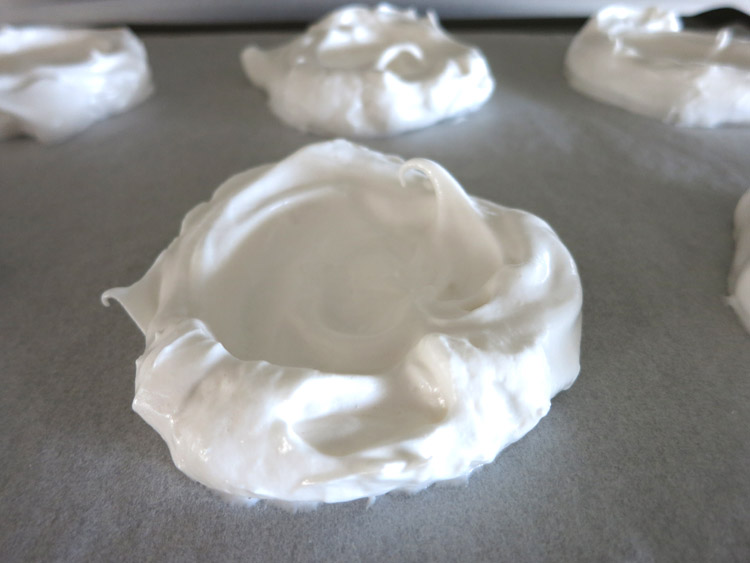 Pavlova Shells