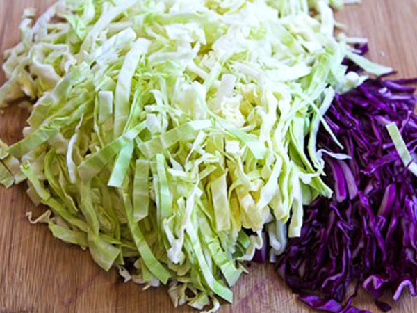 Red green cabbage1