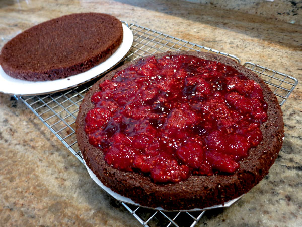 Sachertorte layers