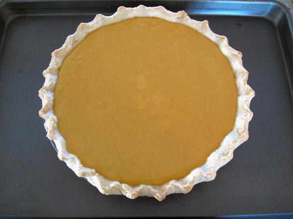 Pumpkin pie baked