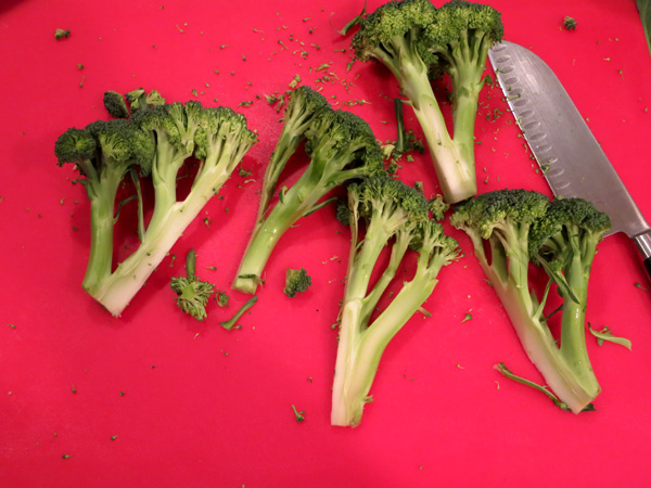 Roasted Broccoli cuts