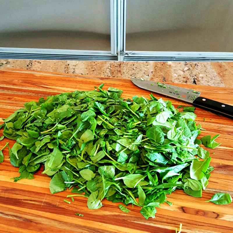 Chopped spinach1