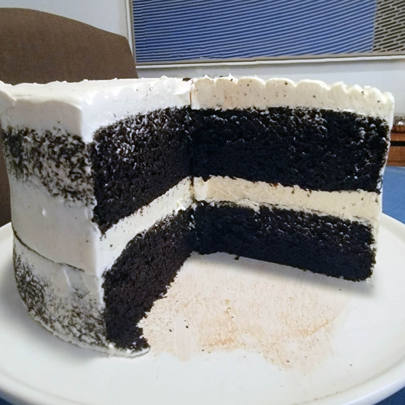 Worlds Best Dark Chocolate Layer Cake Slice